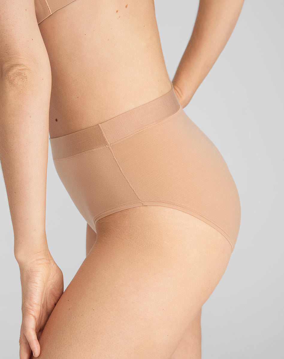 BlissWear Ultra-Comfort High-Rise Brief