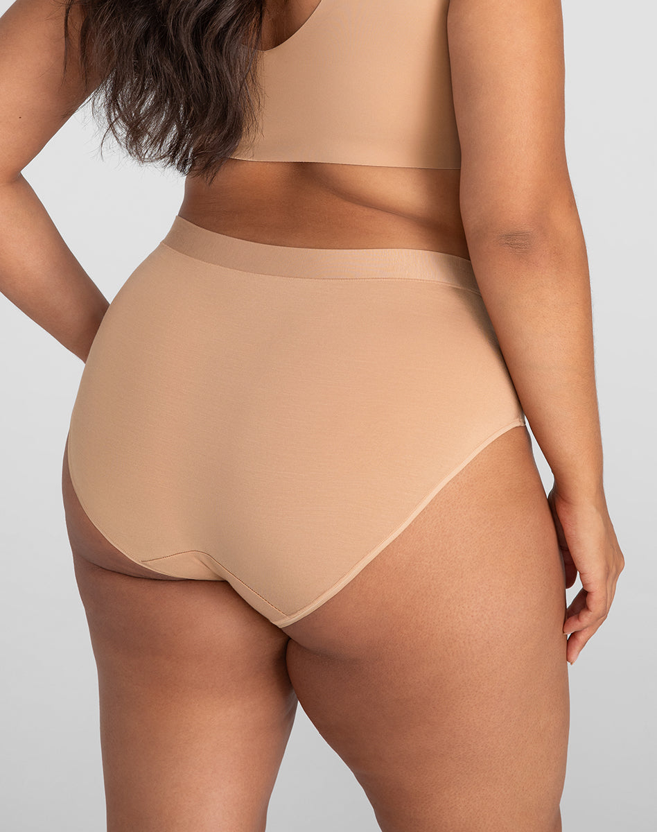 BlissWear Ultra-Comfort High-Rise Brief