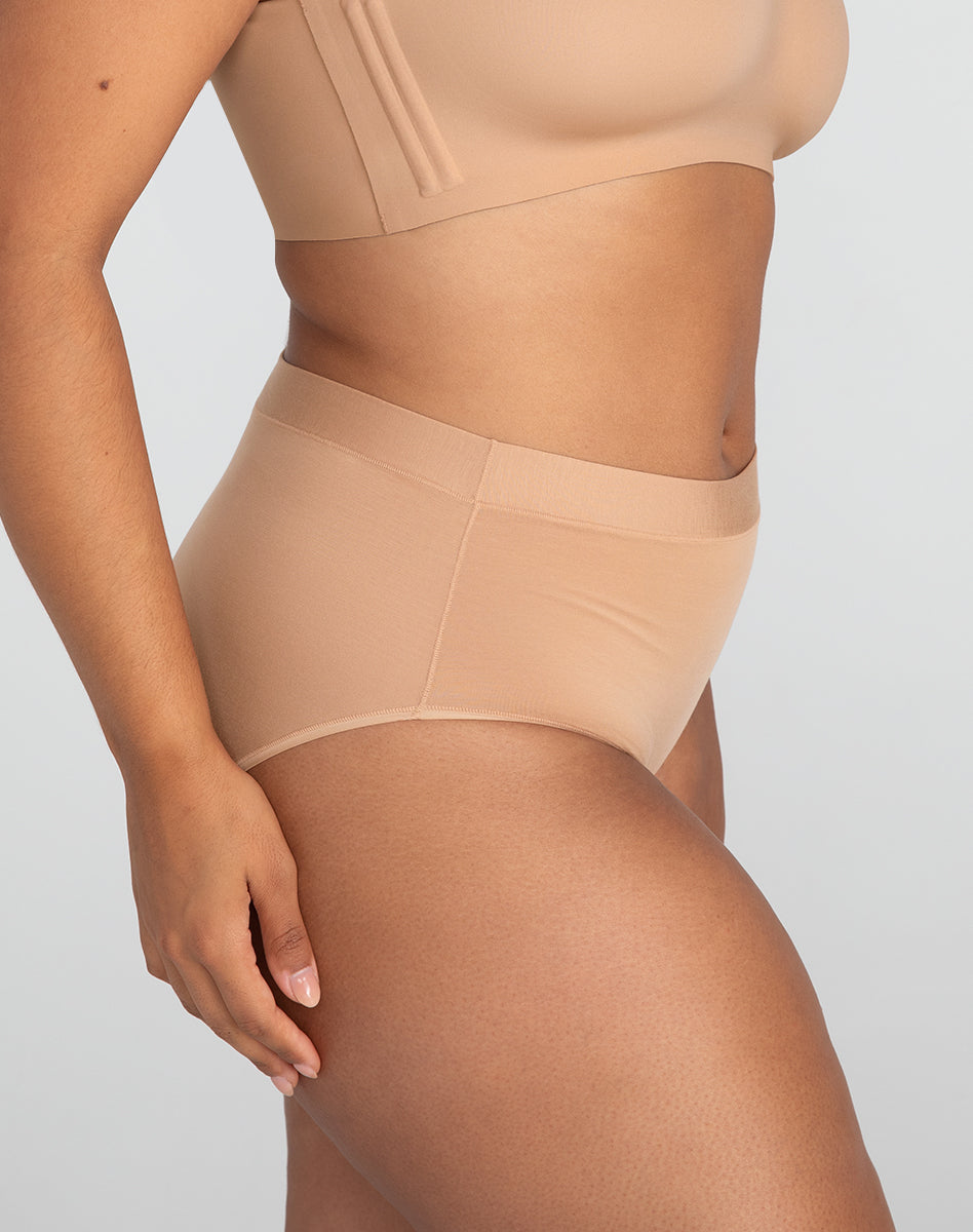 BlissWear Ultra-Comfort High-Rise Brief