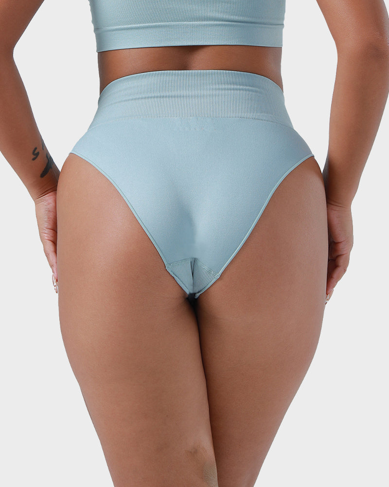 Sleek High-Waisted Tummy Tamer Briefs